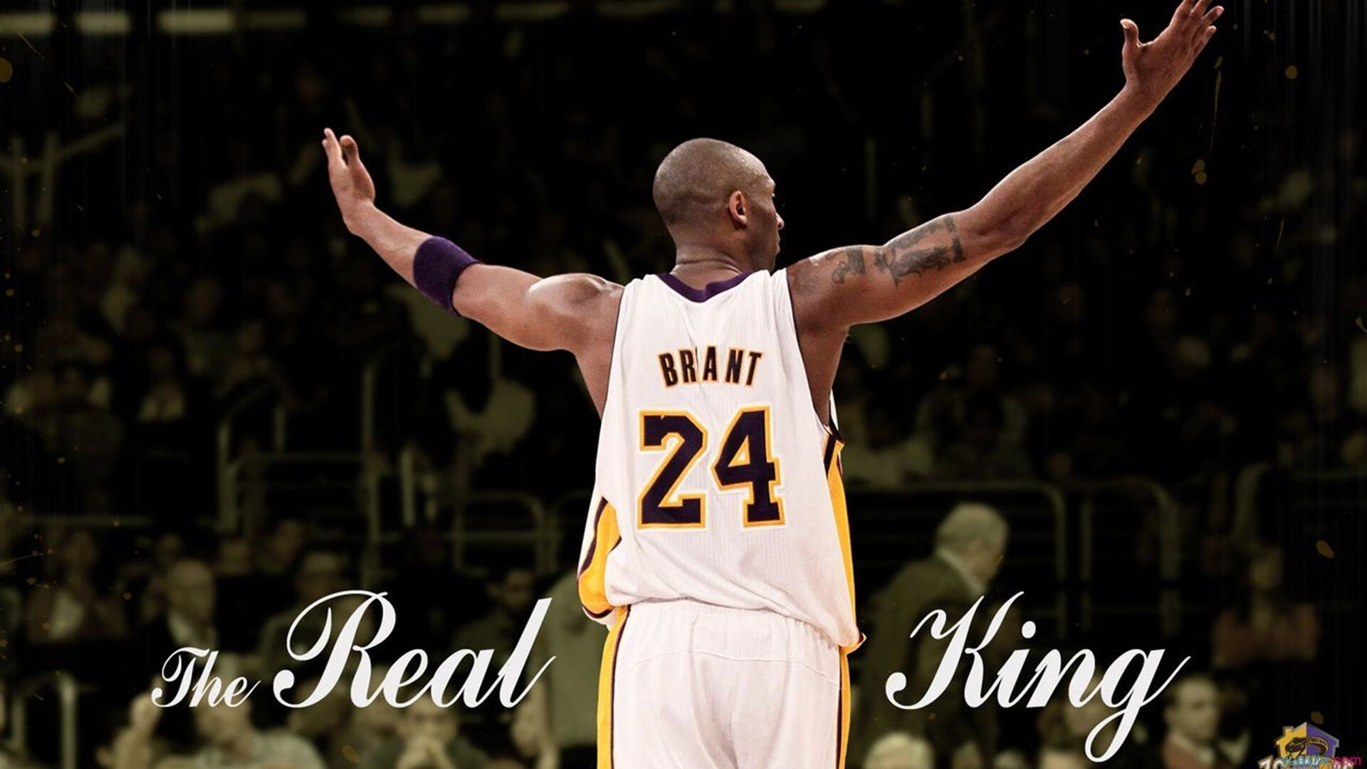 爱游戏娱乐网址-体育新闻中心联合平台推动体育直播弹幕互动规范化，体育直播信息